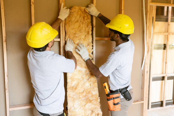 Best Insulation Inspection Services  in Mlstadt, IL