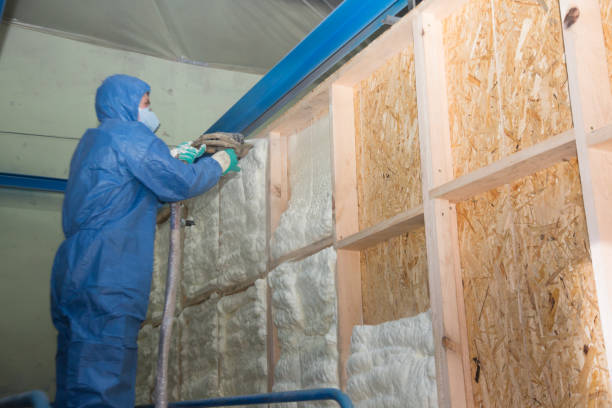 Best Insulation Repair Services  in Mlstadt, IL